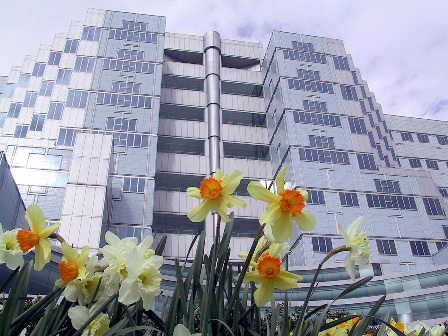 Picture of Portland VA Medical Center
